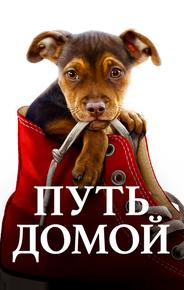 Путь домой