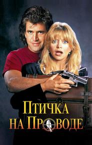 Птичка на проводе