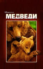 Медведи