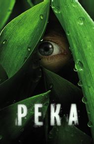 Река
