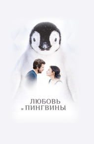 Любовь и пингвины