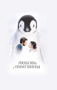 Любовь и пингвины