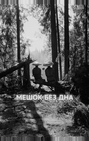 Мешок без дна