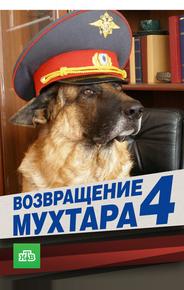 Возвращение Мухтара 4