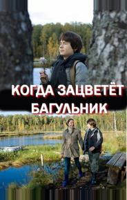 Когда зацветёт багульник