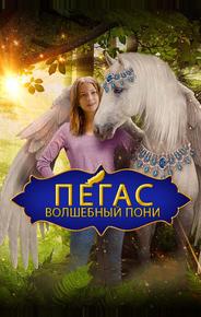Пегас: Волшебный пони