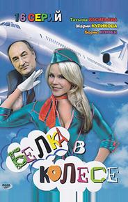 Белка в колесе