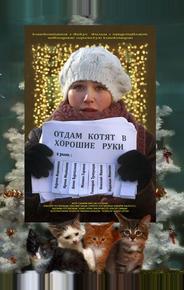 Отдам котят в хорошие руки